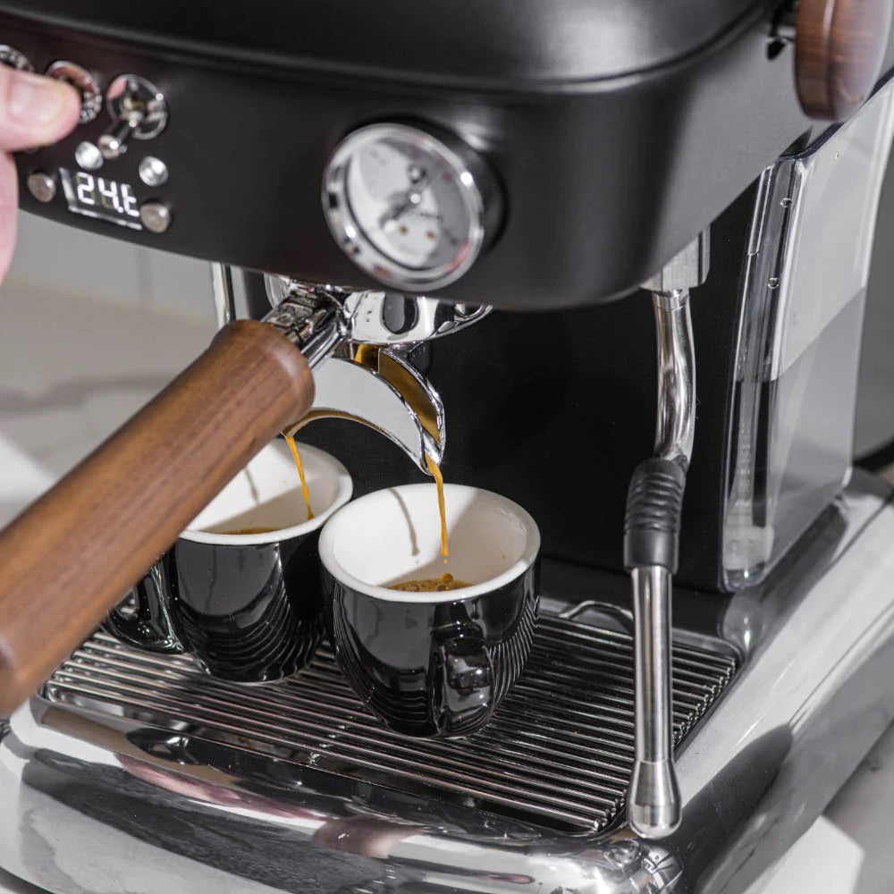 Dream PID Coffee Machine Ascaso Caffeine Pro Official Caffeine Pro Singapore